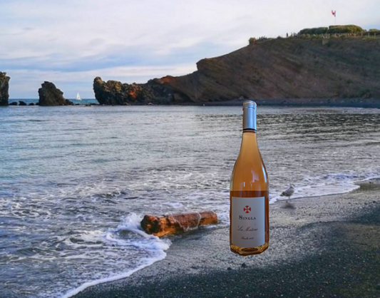 今年はパリオリンピックですね―第6編ー南フランス特集⑥ Les plages du Cap d’Adge