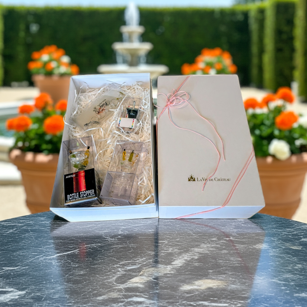 Cadeau d'accessoires pour le vin (lot de 4 B)