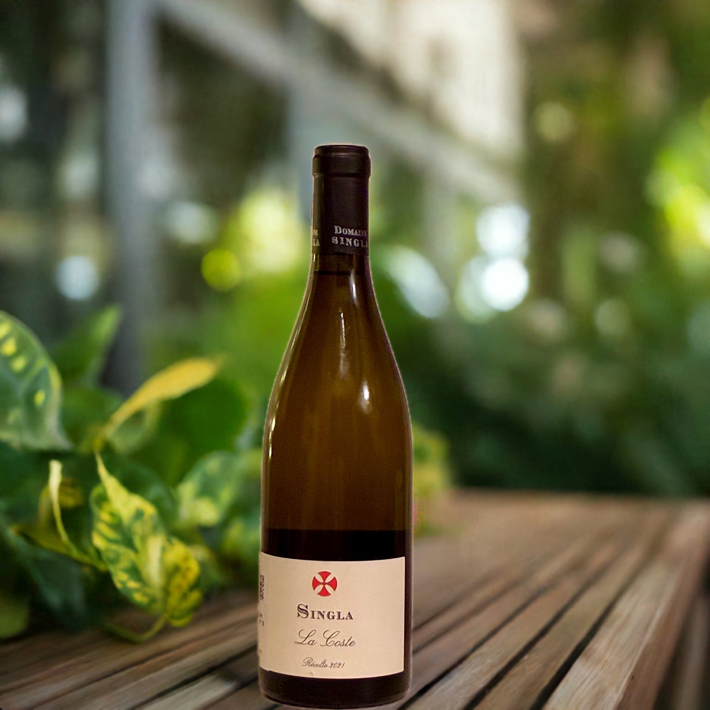 La Coste (vin blanc aux arômes d'agrumes et de pêche)