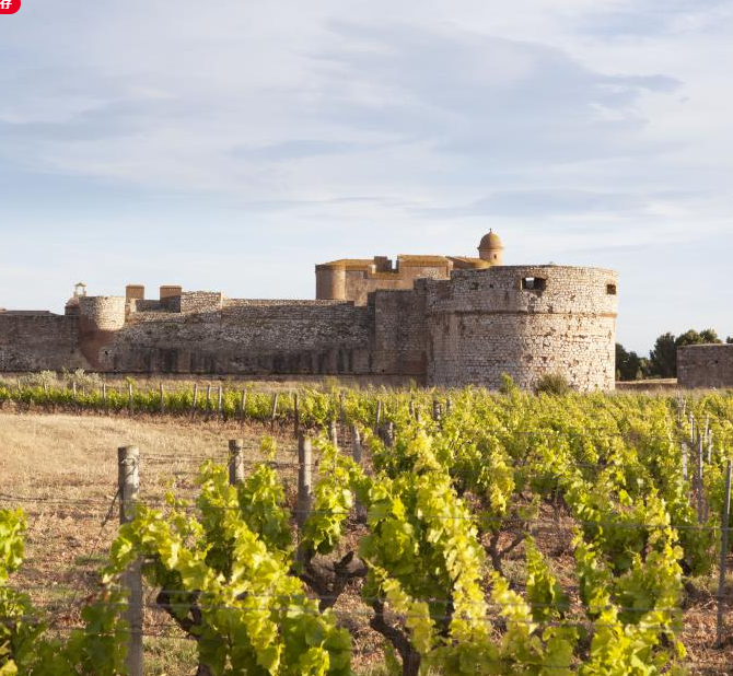 Augosto (un vin blanc rare produit en seulement 1 200 bouteilles par an)