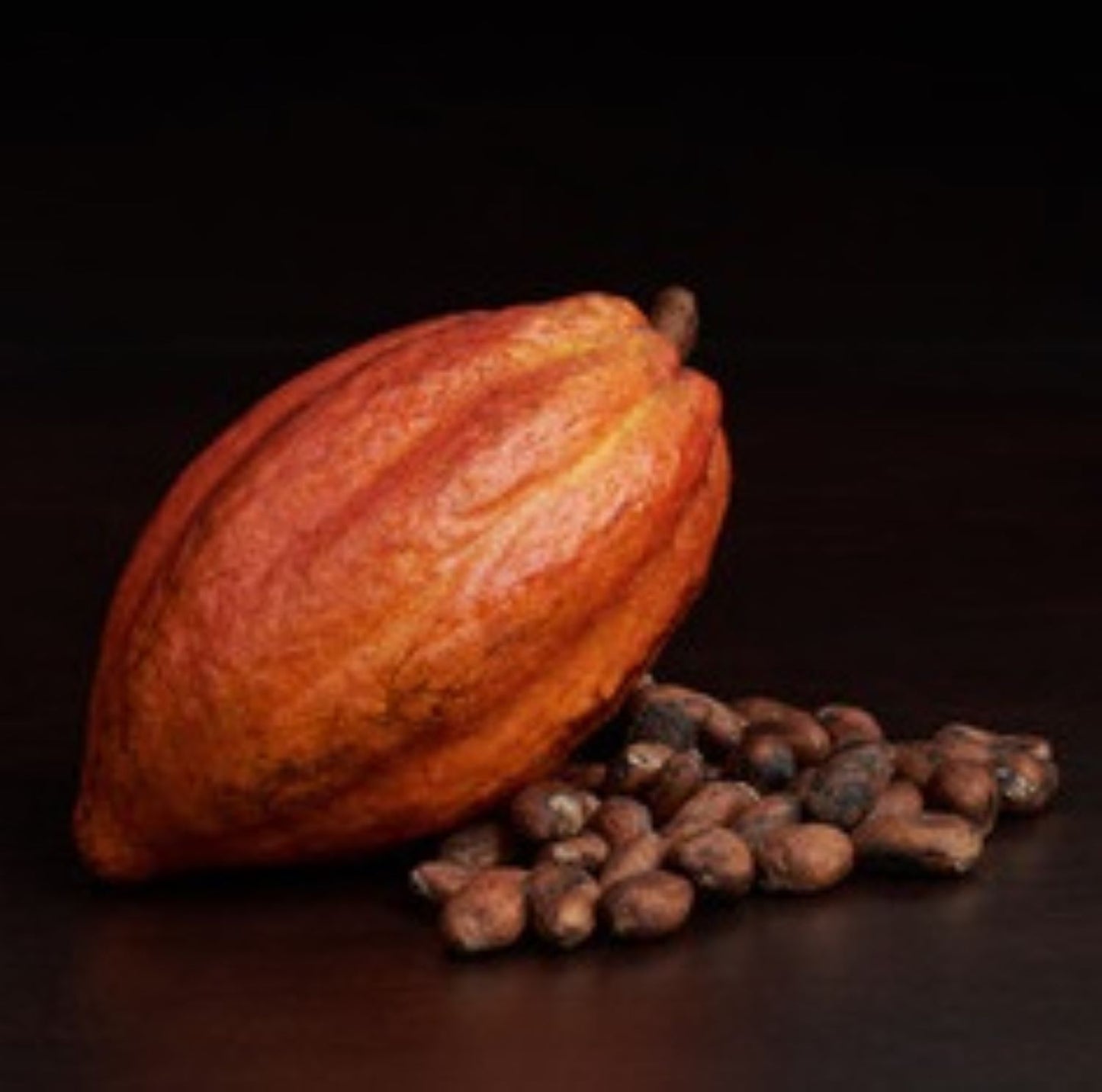 La Matin Roussillon : Un vin très populaire qui a été réapprovisionné