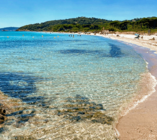 1月23日のブログ～フランス～南仏の隠れ家リゾート～サントロペのプロンシュビーチPlage de la Plonche