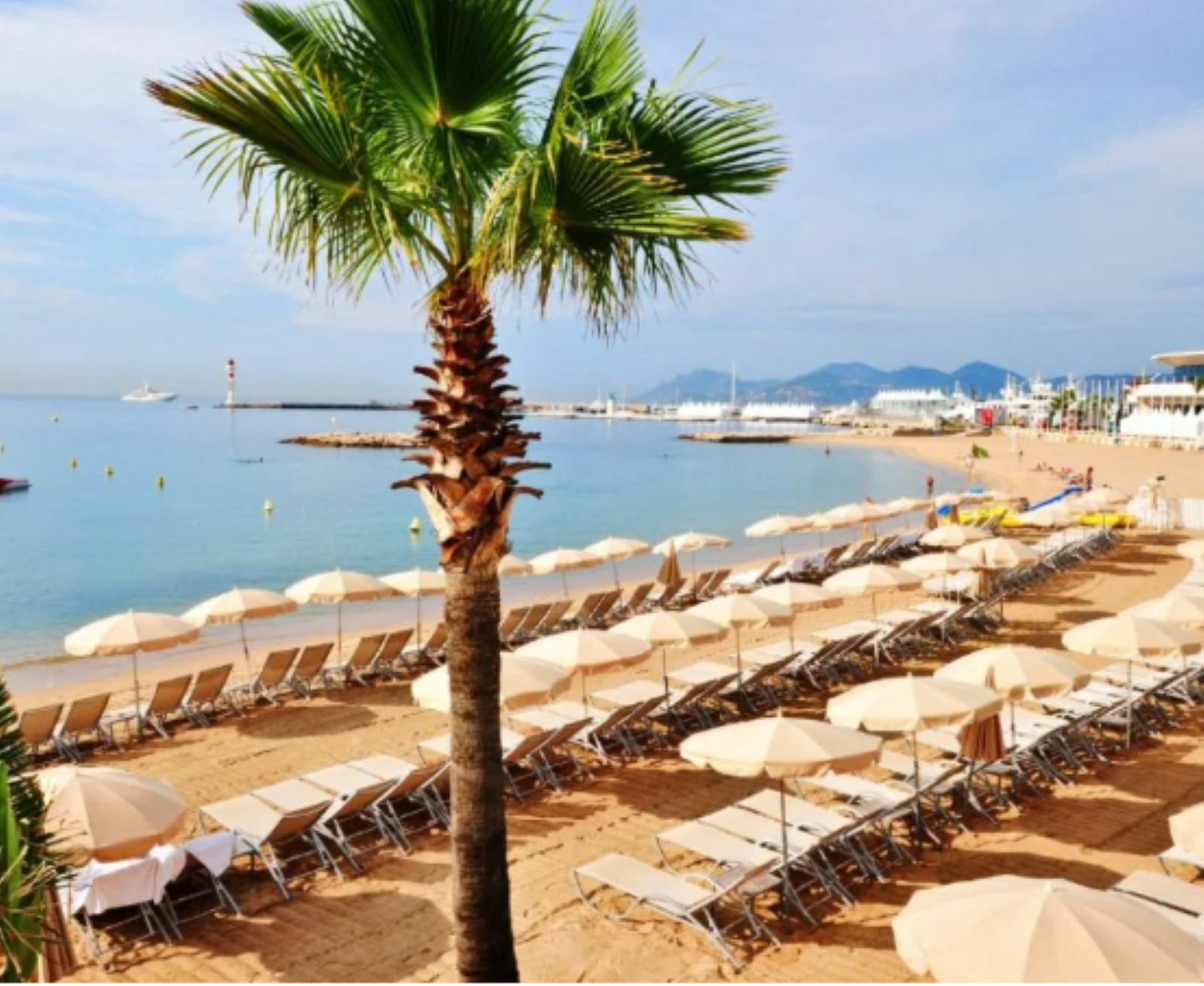 1月31のブログ～フランス～南仏の隠れ家～カンヌのビーチ