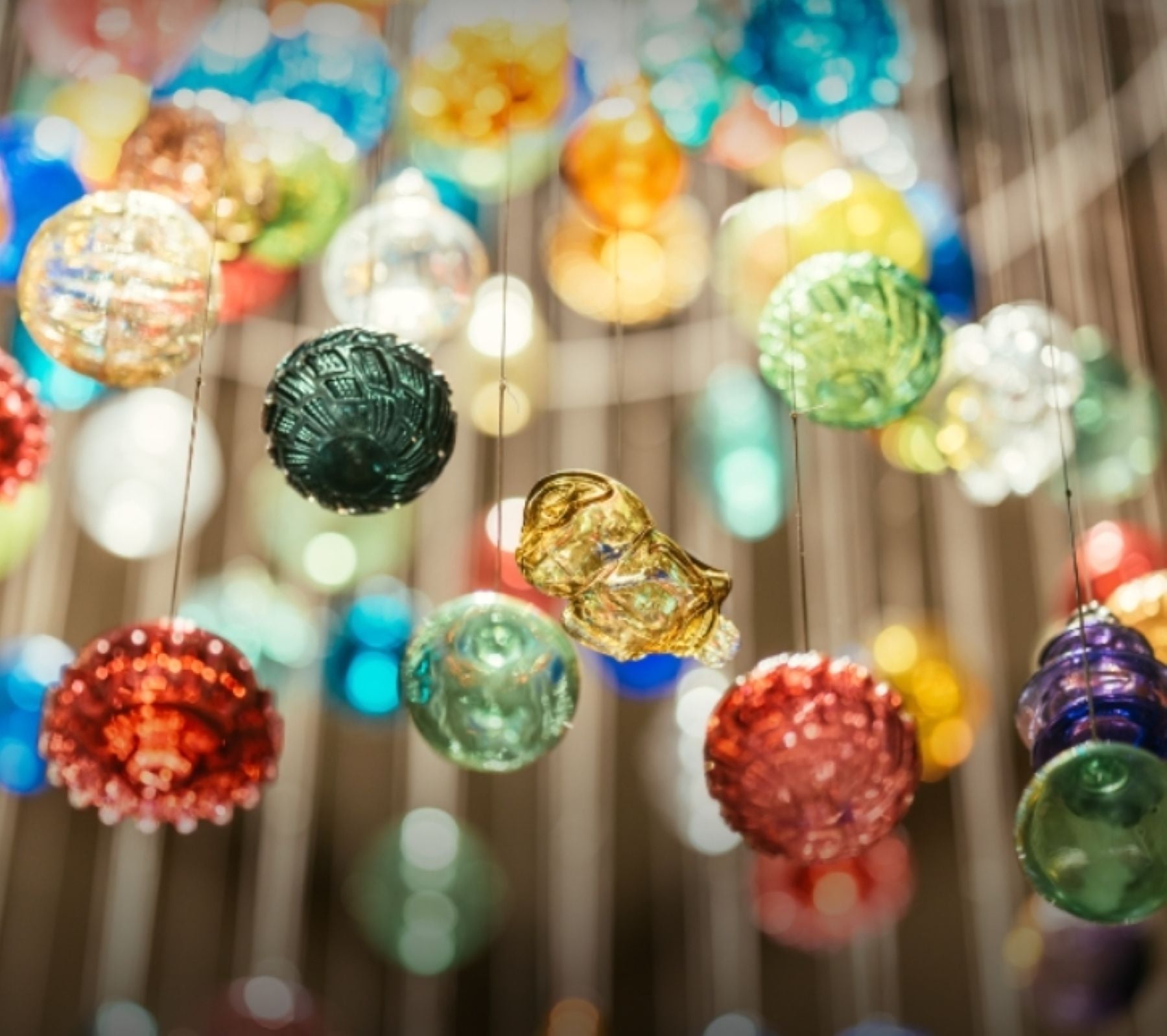 12月１６日のブログ～フランス各地のクリスマス～アルザス