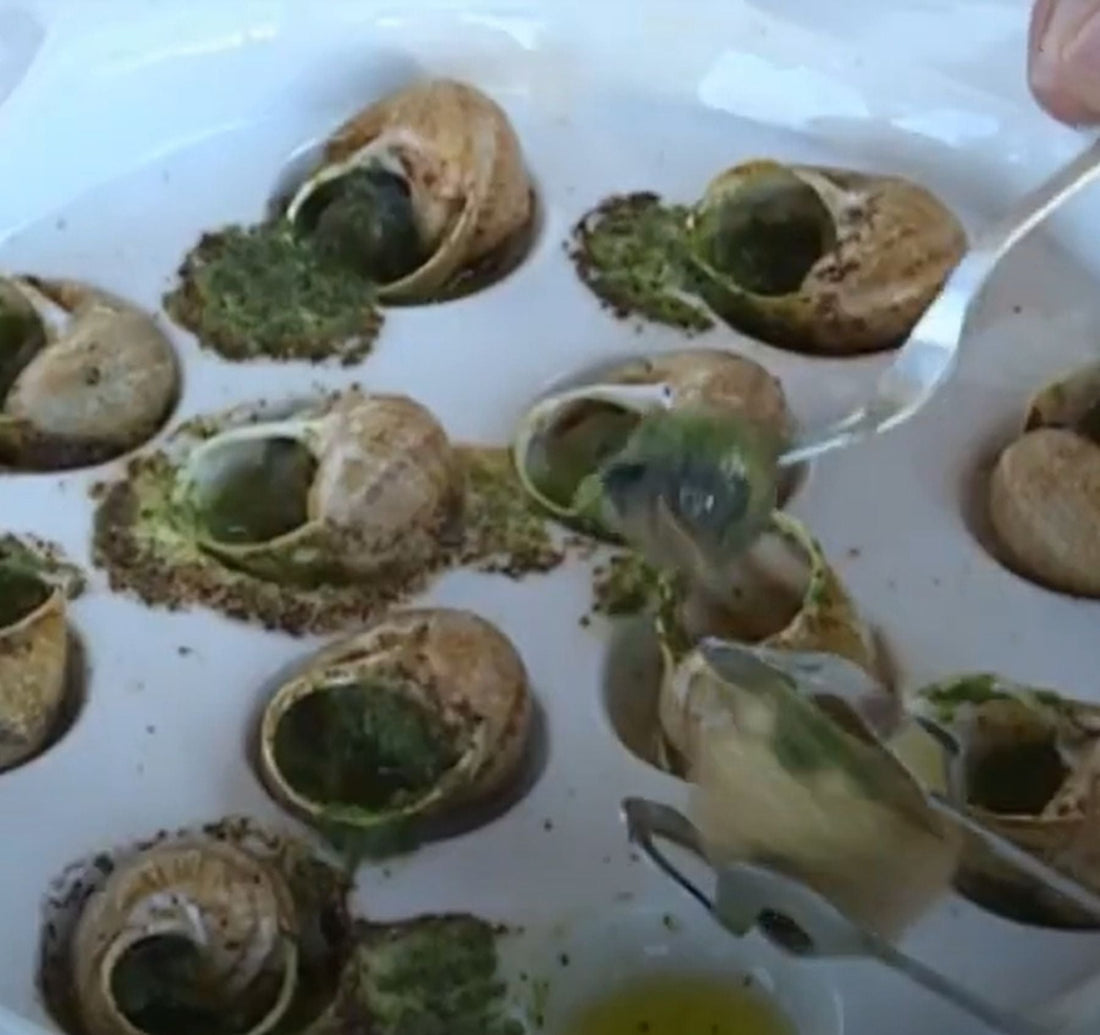 12月14日のブログ～フランス各地のクリスマス～ブルゴーニュエスカルゴ