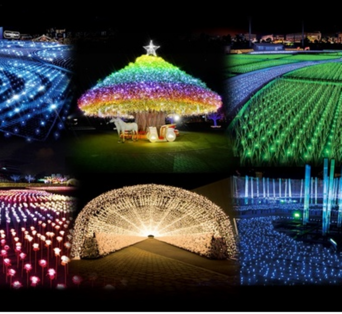 １２月25日のブログ～千葉、埼玉、茨城のイルミネーション