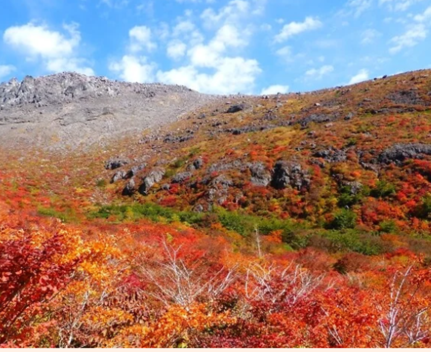 ９月20日のブログ～番外編～秋の連休に行きたい紅葉スポット