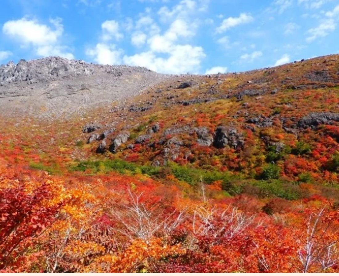 ９月20日のブログ～番外編～秋の連休に行きたい紅葉スポット