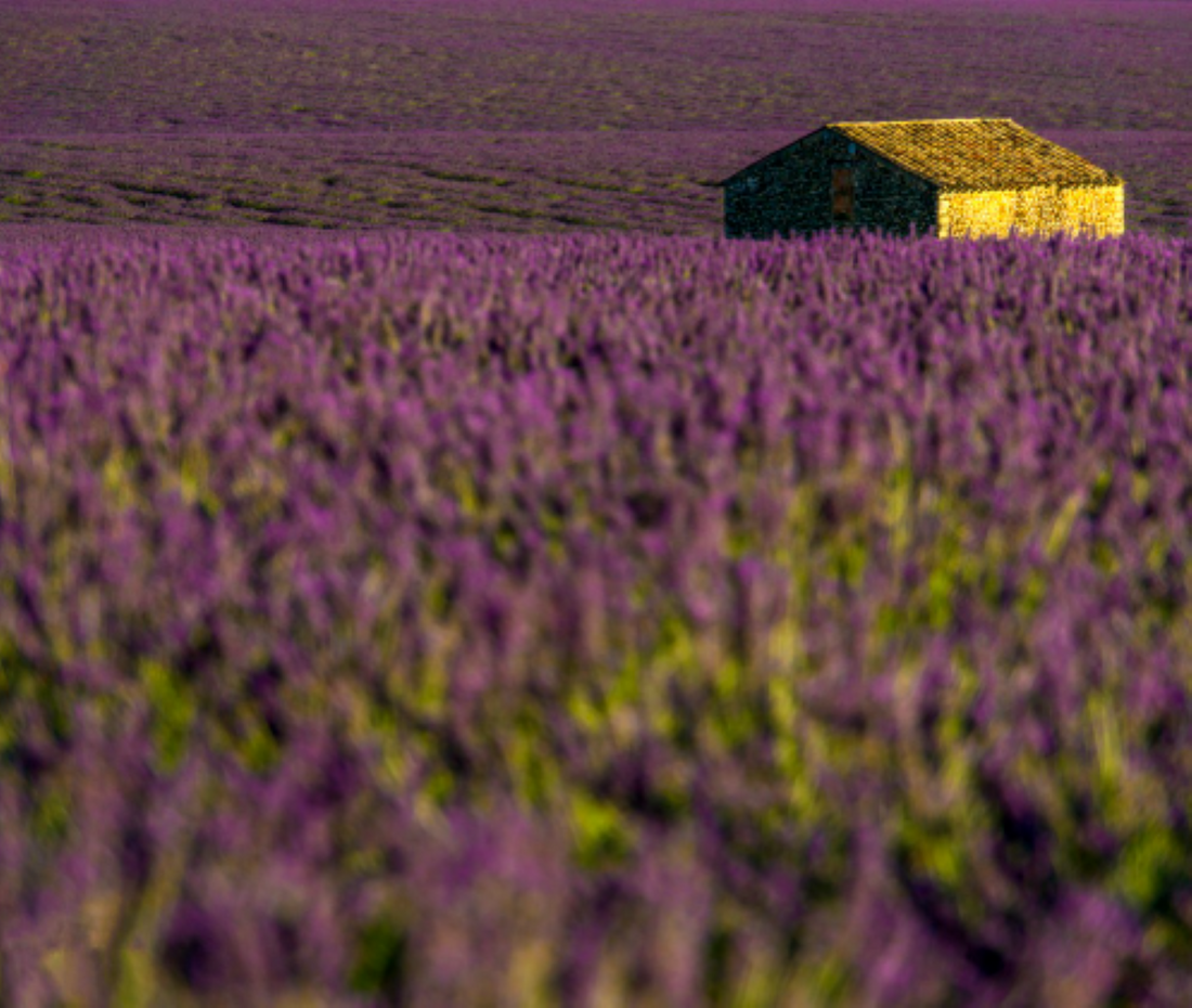 11月30日のブログ～フランスの小さな街～ディーニュ・レ・バンの見どころ