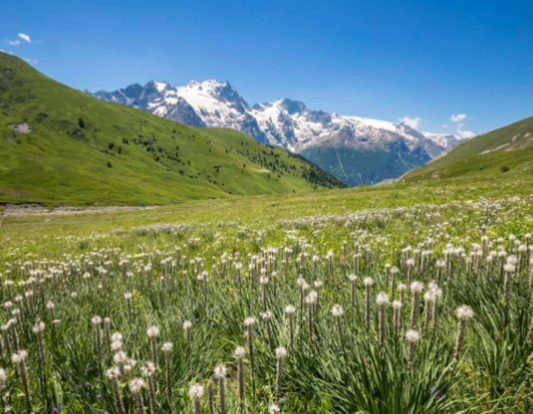 11月22日のブログ～フランスの小さな街～ラ・ミュールの見どころ