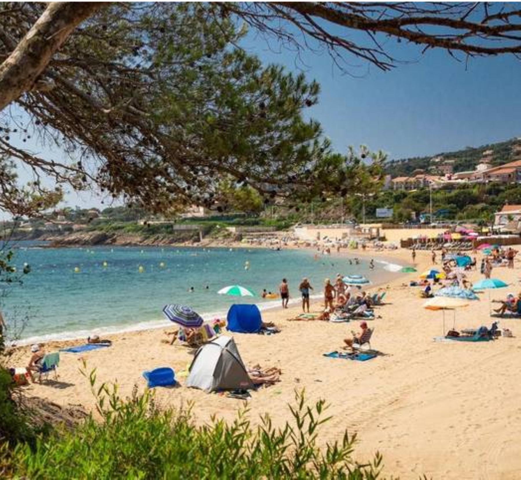 1月27日のブログ～フランス～南仏の隠れ家リゾート～ガイヤルドビーチPlage de la Gaillarde