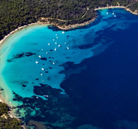 1月25日のブログ～フランス～南仏の隠れ家リゾート～ポルケロール島のノートルダムビーチ