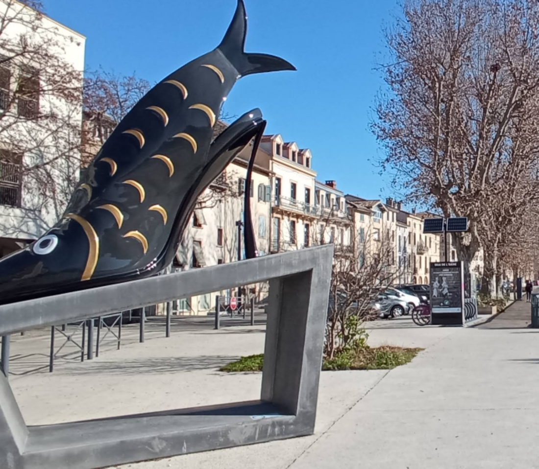 １１月１４日のブログ～フランスの小さな街～ロマン＝シュル・イゼールRomans-sur-Isère