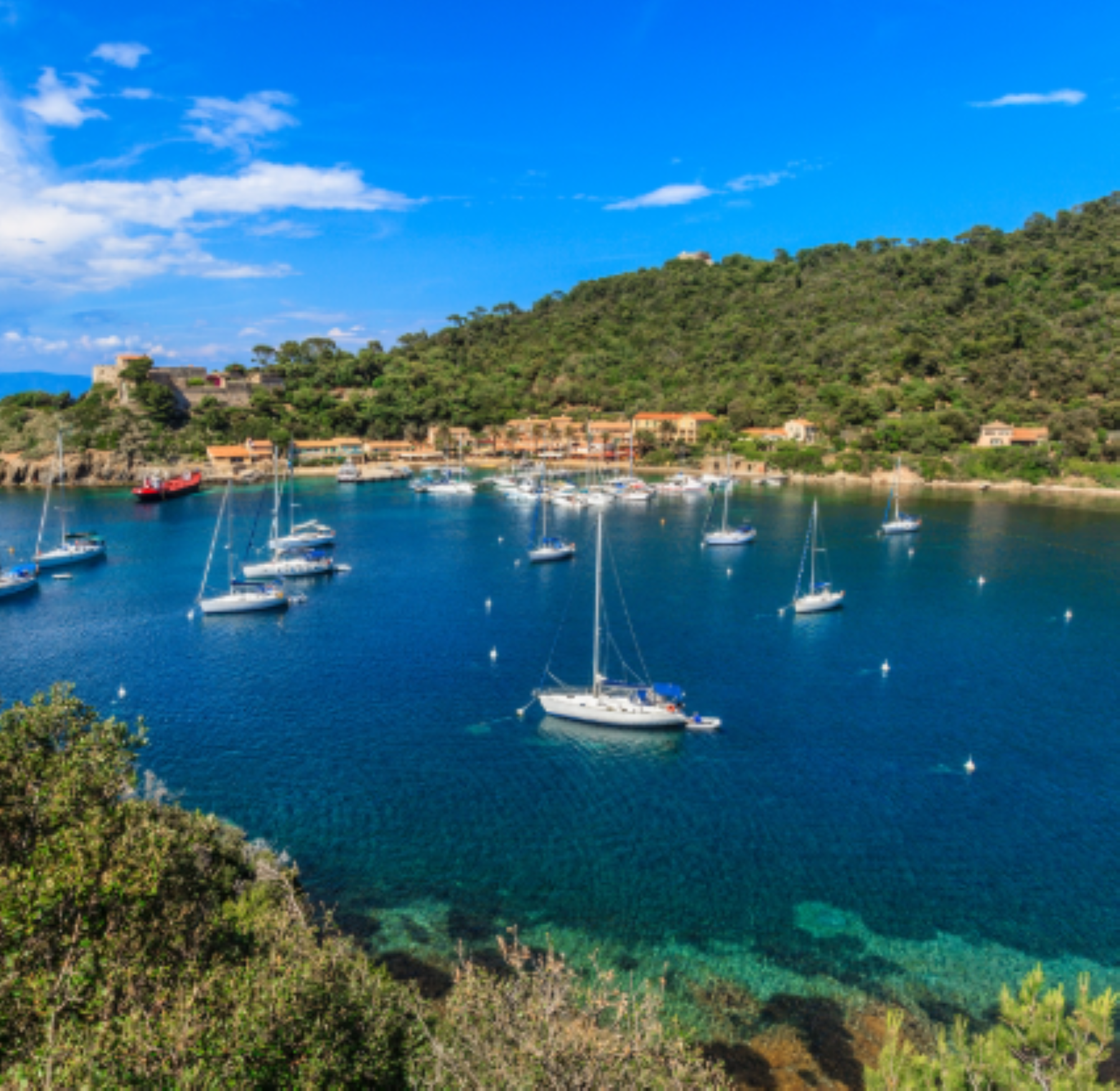 1月30日のブログ～フランス～南仏の隠れ家リゾート～ラ・パリュビーチla presqu'île de Giens