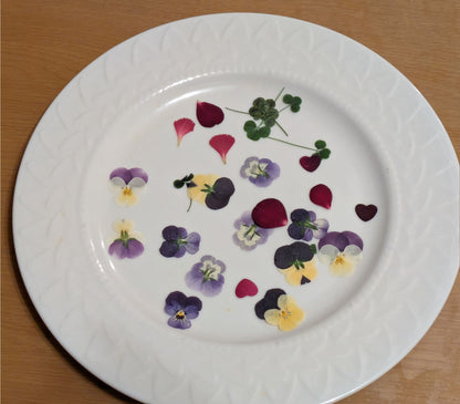 "An ingredient to elevate the quality of your dishes: Dry Edible Flowers (Violet)."