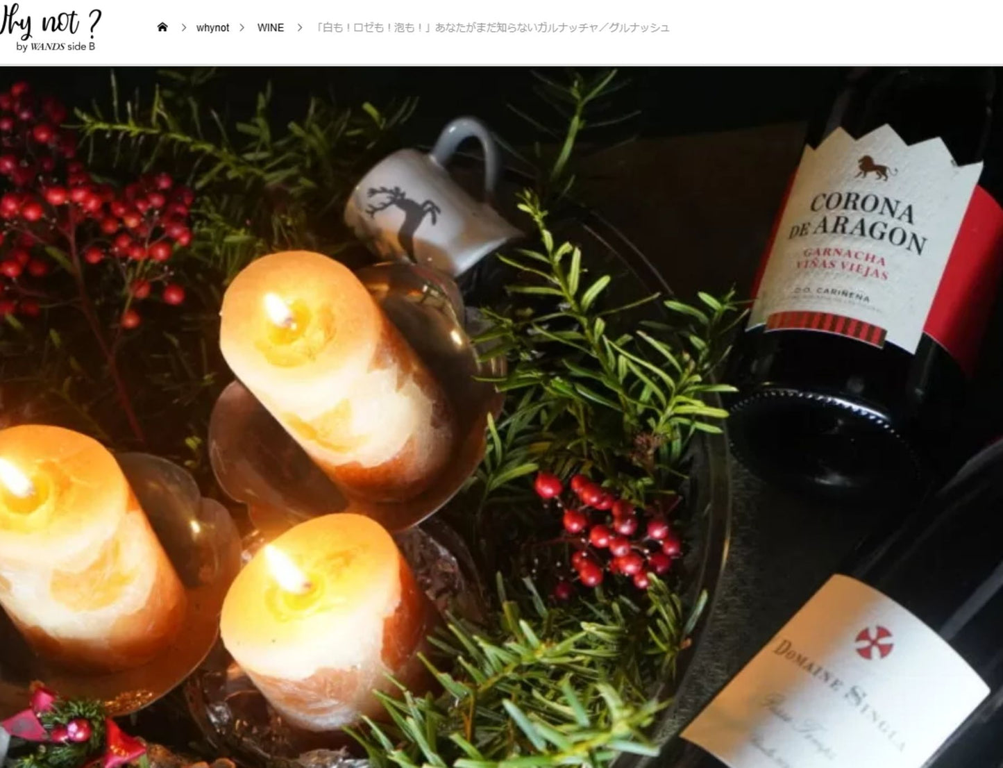 Paston (le vin légendaire qui a été livré à l'Elysée pour le président français)