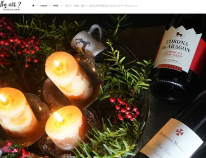 Paston (le vin légendaire qui a été livré à l'Elysée pour le président français)