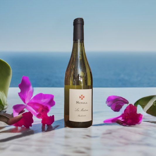 ラ マティン 2023 （白）2026年2月入荷、予約受付中