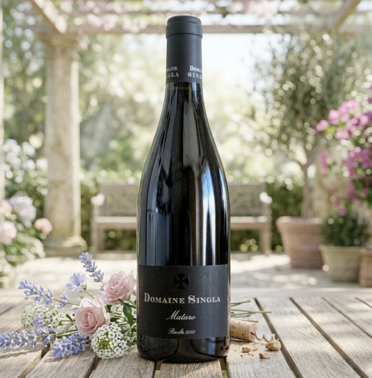 Mataro (Mourvedre, typique du sud de la France) Réimporté et prêt à être expédié à partir du 9 mai