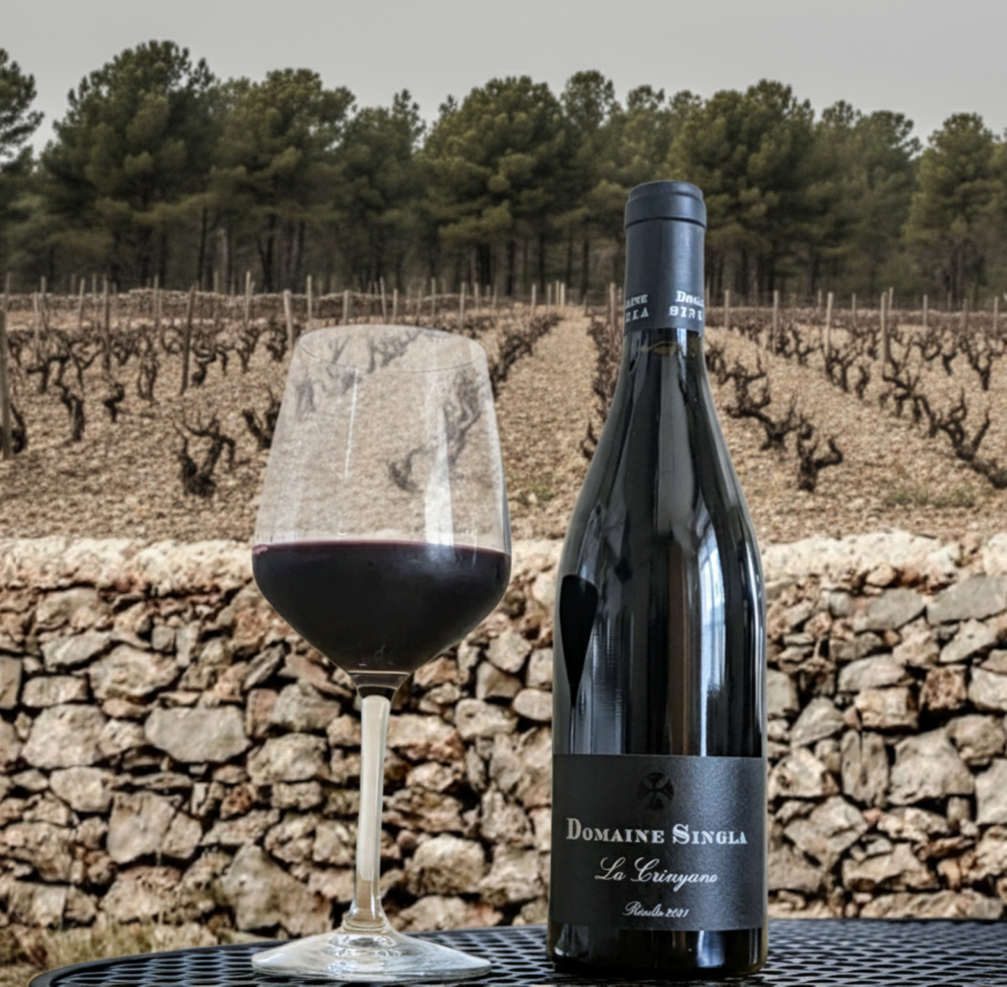 La Carignan - Un vin rouge populaire dans les restaurants français