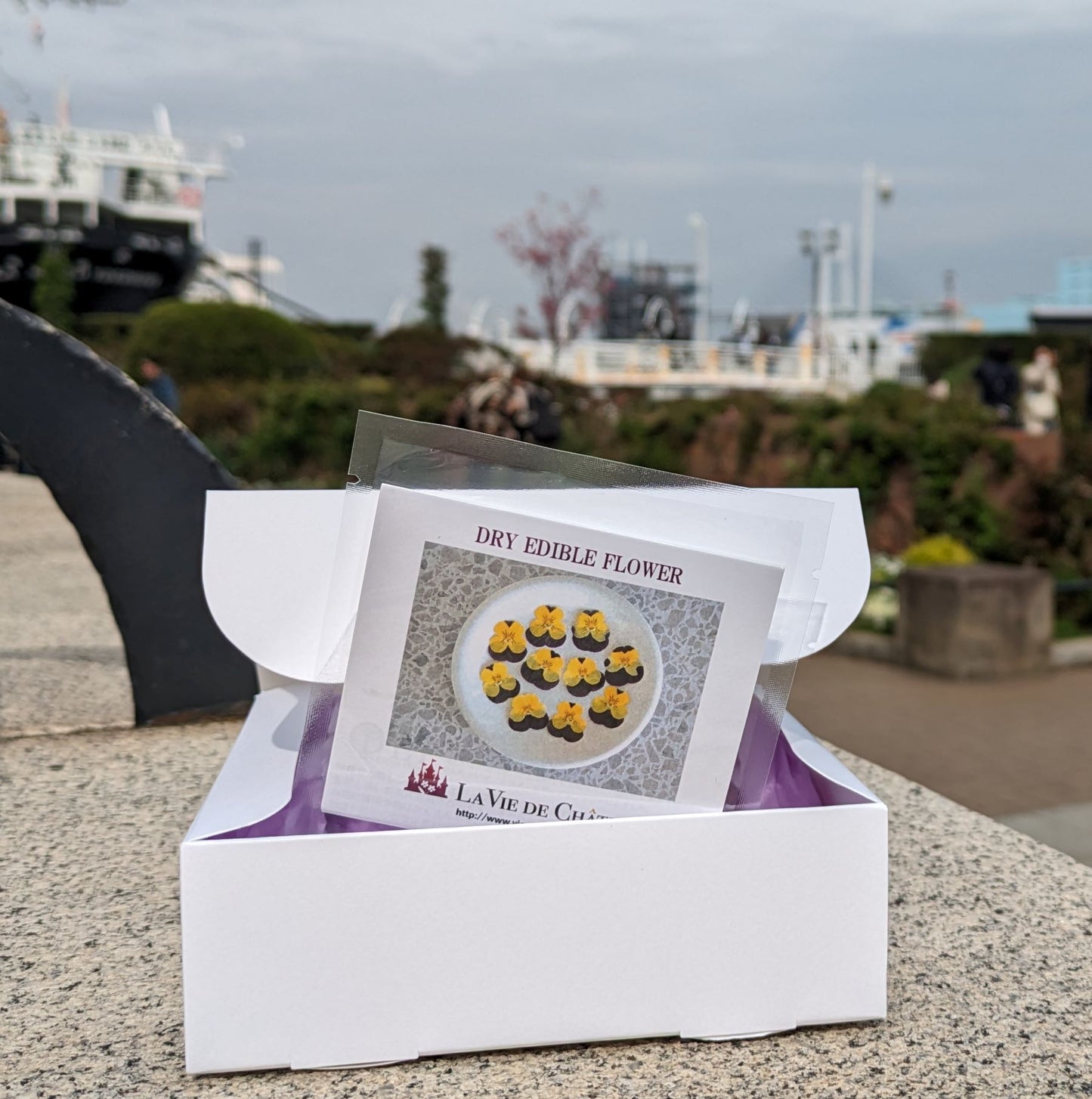 Un plat qui améliore la qualité de votre cuisine ! Fleur comestible séchée (Violet bicolor)