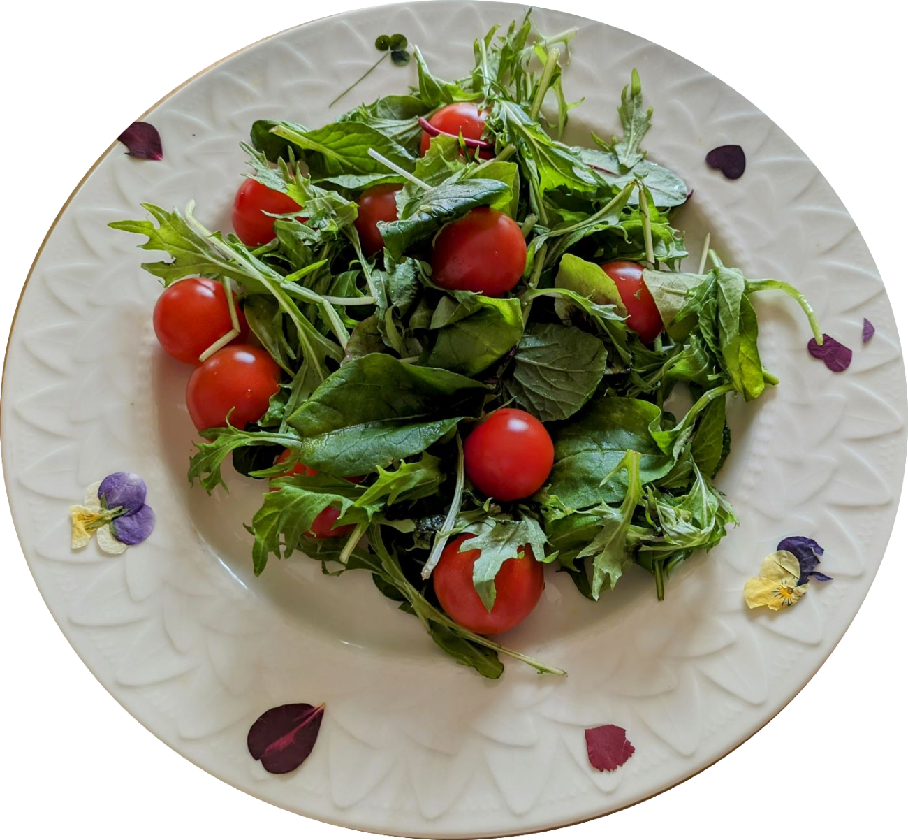 Un plat qui améliorera la qualité de votre cuisine ❣ Fleur séchée comestible (rose)