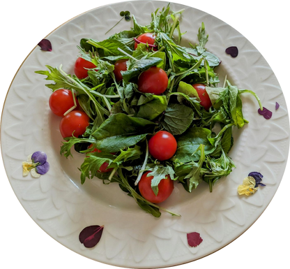 Un plat qui améliorera la qualité de votre cuisine ❣ Fleur séchée comestible (rose)