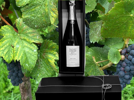 Champagne: VZART COQUAT with elegant black gift box ❣Free shipping for Father's Day