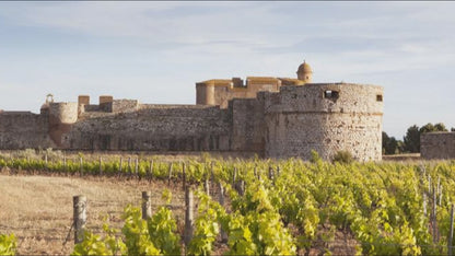 Augost (vin blanc) en coffret cadeau