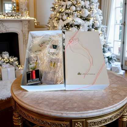 Cadeau d'accessoires pour le vin (lot de 4 B)