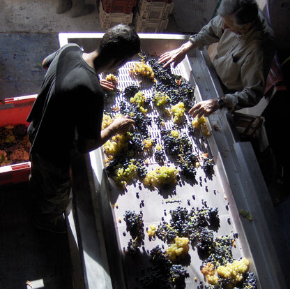 Mataro (vin rouge à l'arôme sauvage)